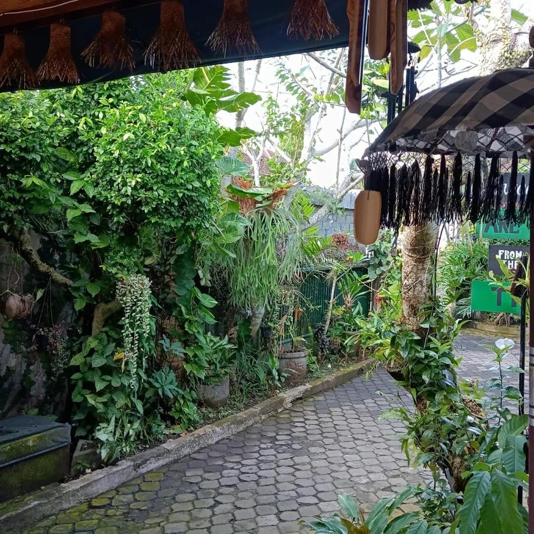 Coliving Bali Sweet Home Kost Lengkap Di Tabanan Kota Dış mekan fotoğraf