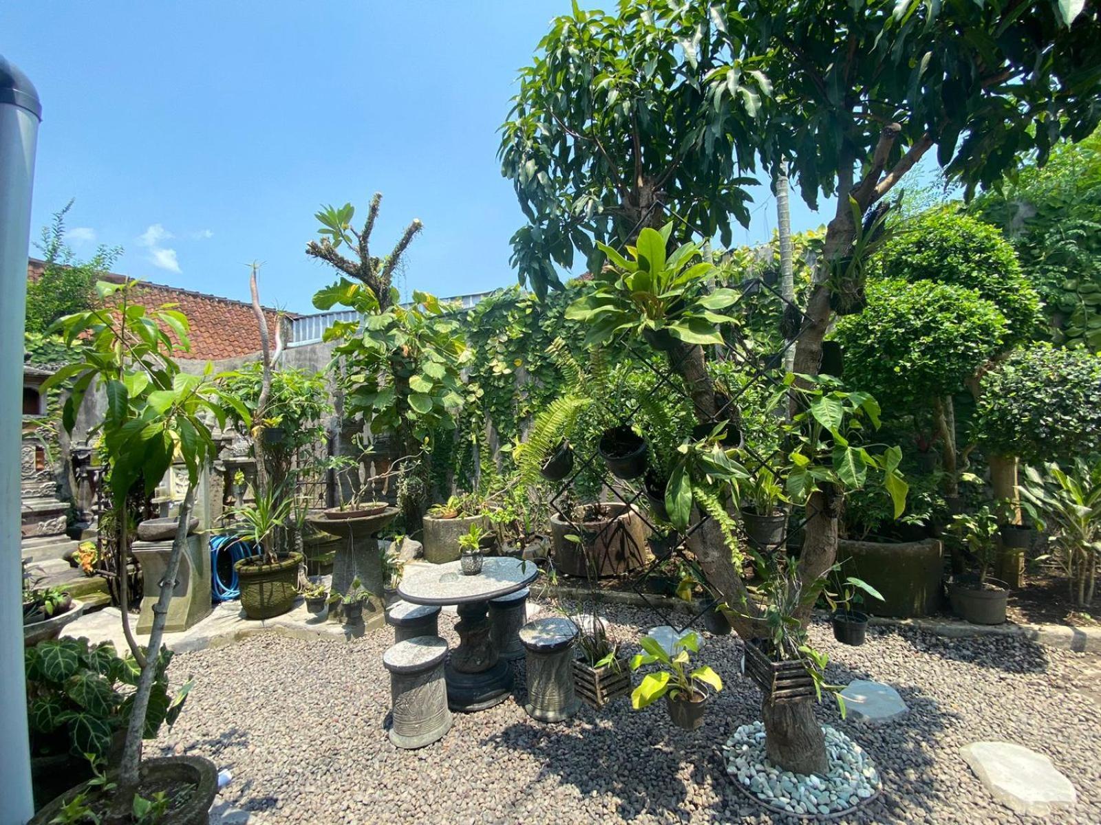 Coliving Bali Sweet Home Kost Lengkap Di Tabanan Kota Dış mekan fotoğraf