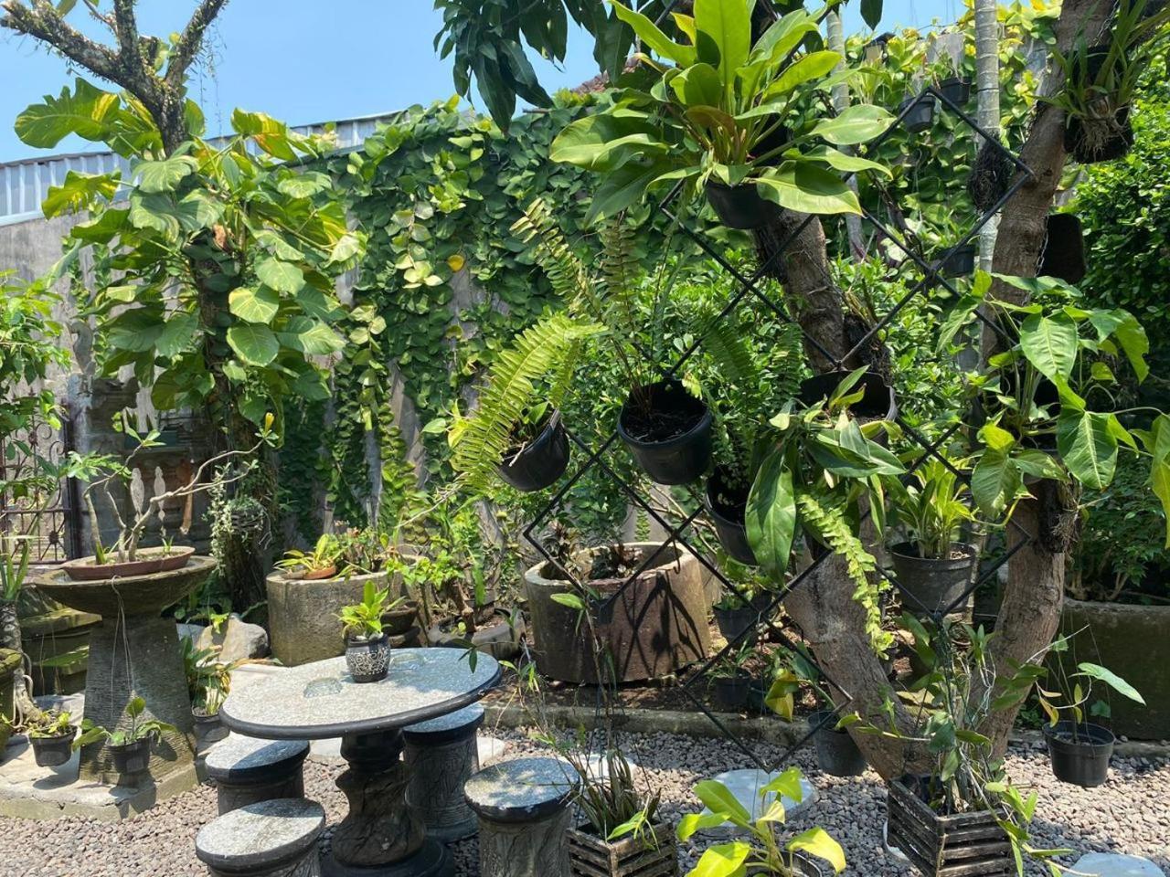 Coliving Bali Sweet Home Kost Lengkap Di Tabanan Kota Dış mekan fotoğraf